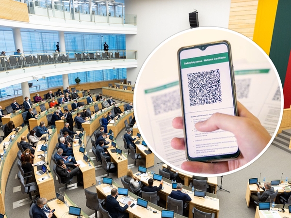 Per 20 Seimo narių nepateikė dokumentų dėl patekimo į Seimą: ar neprasidės cirkai?