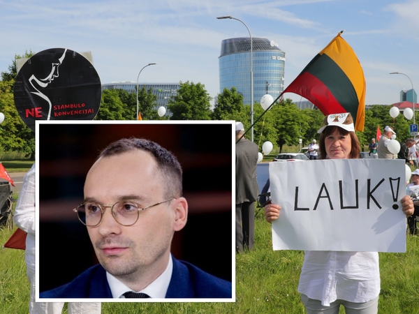 Mitinge prie Seimo pasirodęs M. Maldeikis išplūstas keiksmažodžiais