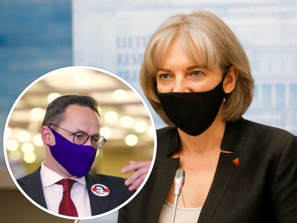 A. Skaisgirytė: Ž. Pavilionio užsipuolimai kelia daug klausimų
