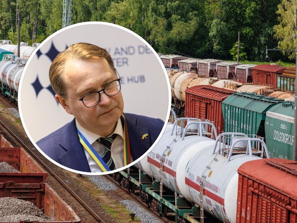 D. Žalimas apie Kaliningrado tranzitą: reikia pripažinti Lietuvos pralaimėjimą