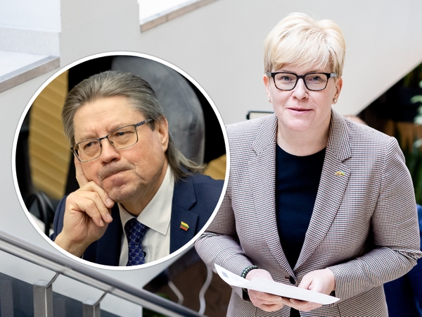 I. Šimonytė apie S. Šedbaro paskyrimą į KT: nėra prasmės taikyti atšalimo