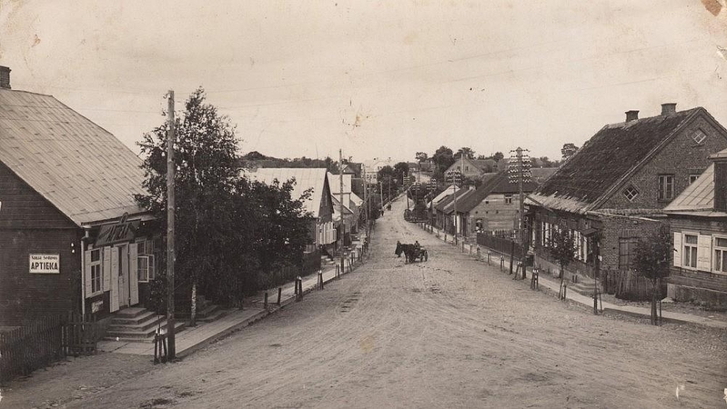 Prisiminimuose apie žydus kai kas sąmoningai nutylima