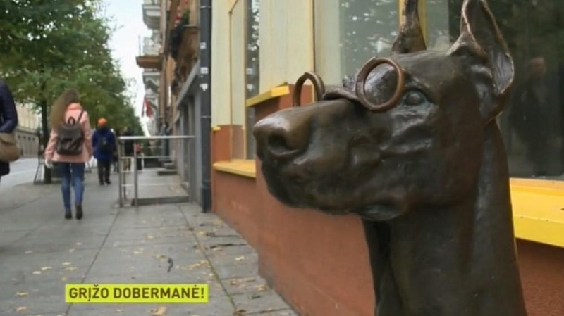 Į Gedimino prospektą grįžo jo simboliu tapusi dobermanės skulptūra