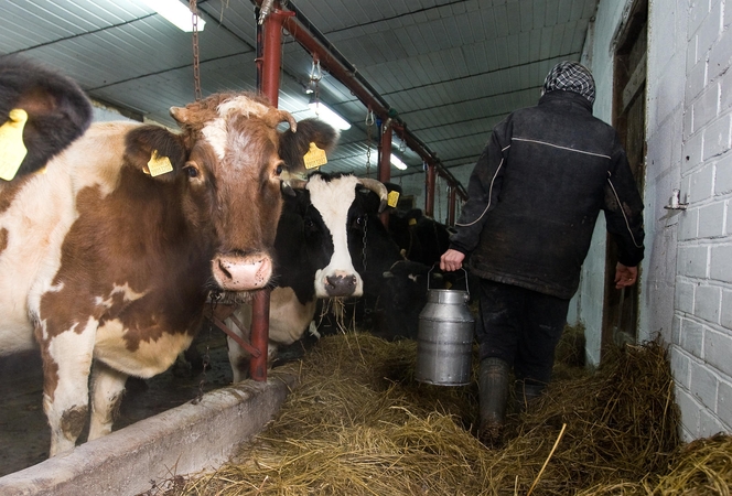 Baltijos šalių ir Suomijos ūkininkai Briuselyje prašo didesnės paramos