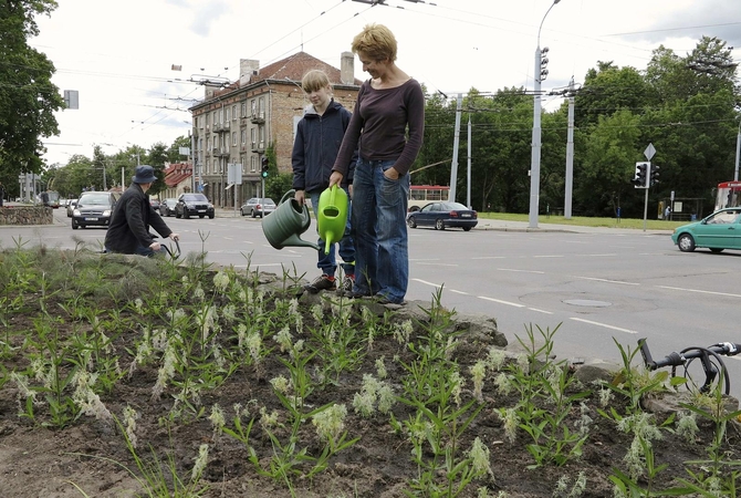 Vilnių papuošė dar vienas gėlynas