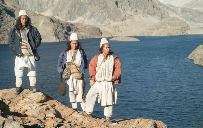 Botanikos sode – nemokamas „Nepatogaus kino“ seansas po atviru dangumi