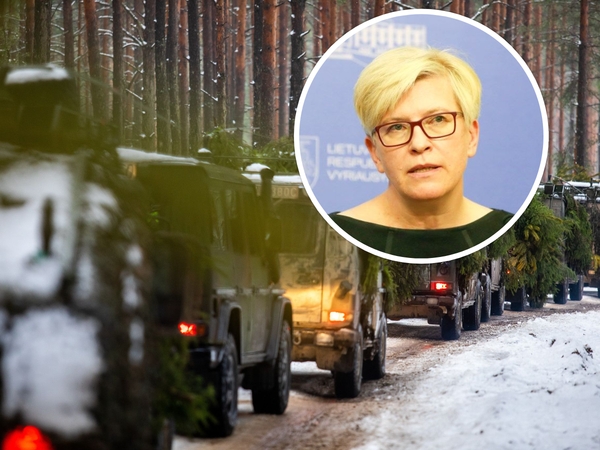 I. Šimonytė: Vyriausybė artimiausiu metu numatys papildomas lėšas gynybai