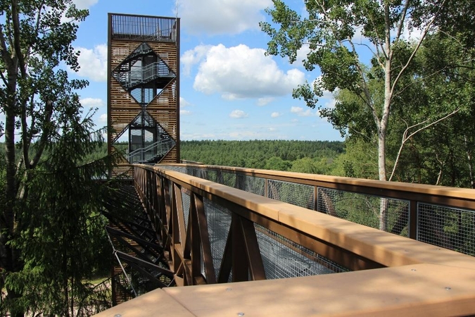 Anykščių medžių lajų takas tapo turizmo sensacija