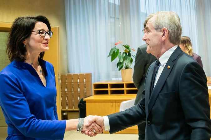 D. Henke: lietuviams trūksta informacijos, ką duos referendumas