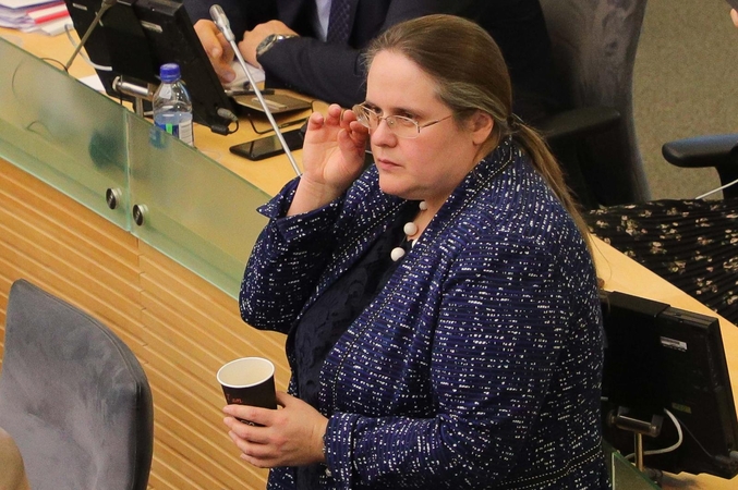 Seimas pritarė A. Širinskienės siūlymams dėl pokyčių VAD
