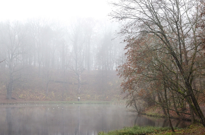 Kelininkai: vakarų ir pietryčių Lietuvoje eismo sąlygas sunkina rūkas