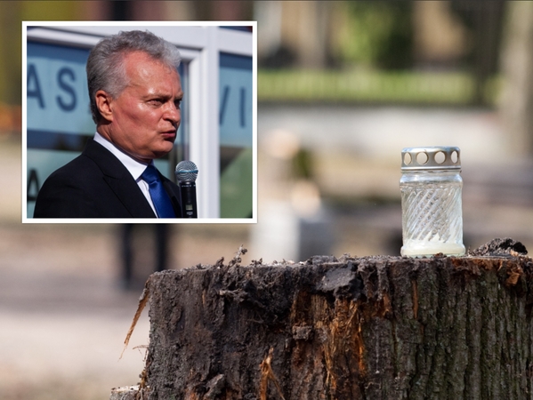 G. Nausėda apie kertamus miškus: nesuprantu, kas darosi Lietuvoje