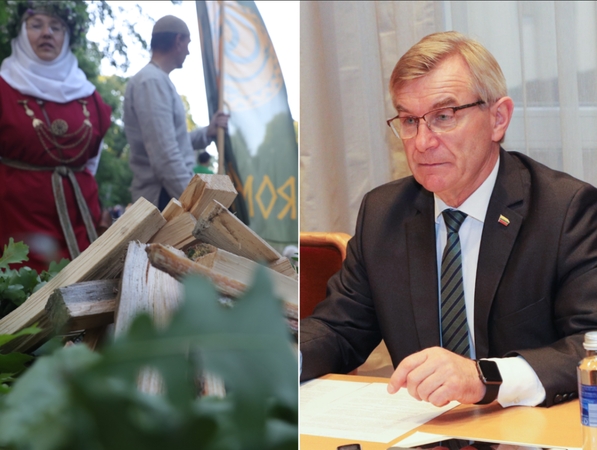 V. Pranckietis: reikėtų svarstyti, ar Joninės turėtų būti nedarbo diena