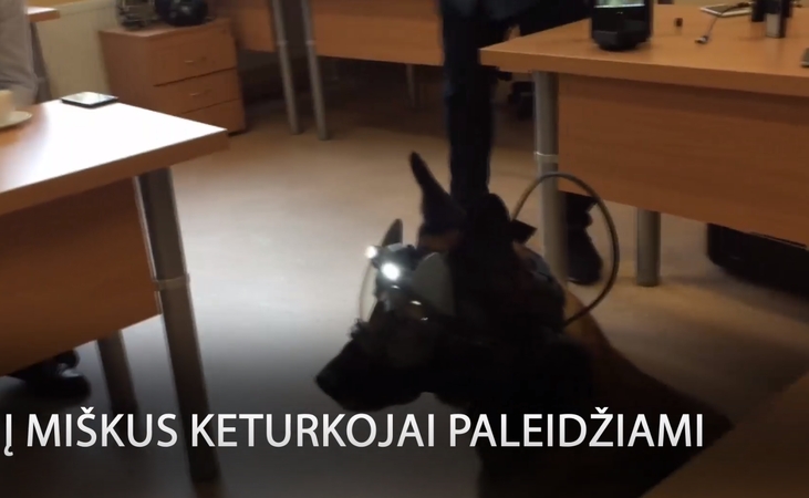 Pasieniečių šunys ginkluojami išmaniomis priemonėmis