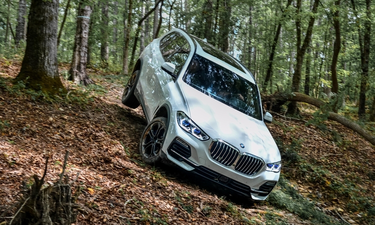 Taikinys: „BMW X5“ – vienas dažniausiai Europoje vagiamų automobilių.