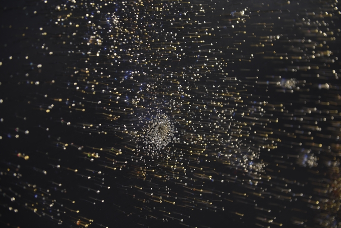 Mi­gue­lis Roths­chil­das. Insomnia su vinimis.