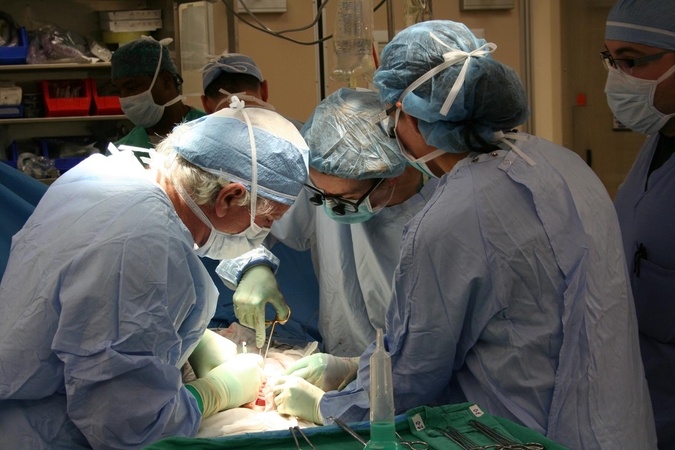 Medikai: transplantacinė medicina įrodo sveikatos sistemos brandą