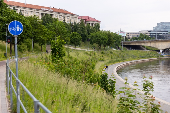 Vilnius imasi šienauti ažiotažą sukėlusias pievas: kur prasidės darbai?