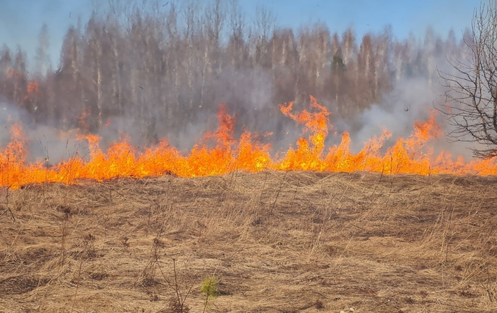 Šventinį savaitgalį Lietuvoje – 174 gaisrai, keturi žmonės apdegė