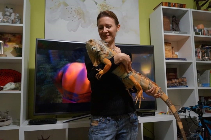 Požiūris: I. Doršienė stebina aplinkinius savo neįprastu pasirinkimu auginti namuose reptiliją, tačiau tikina, kad iguanos jai – labai gražios.