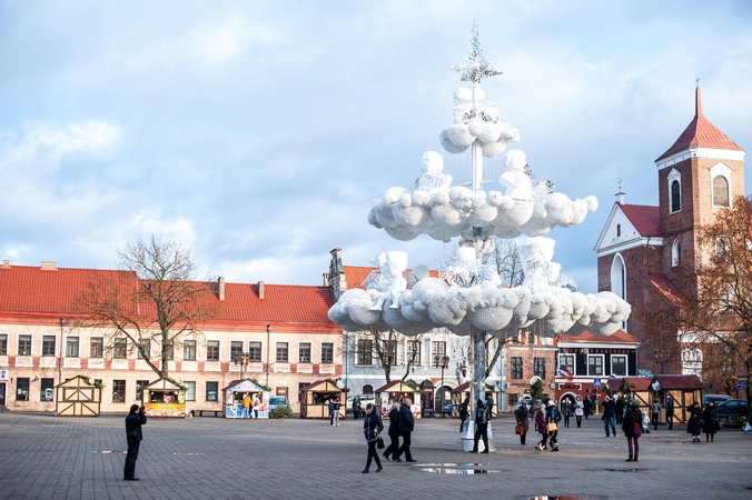Ar Kauno eglė išgyvens iki Kalėdų?
