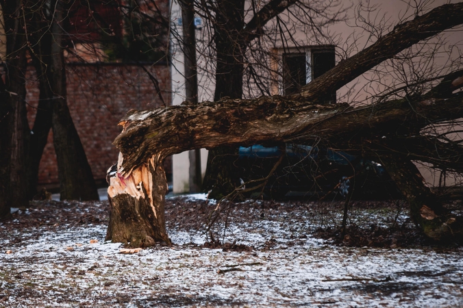 Audros padariniai Klaipėdoje tebešalinami