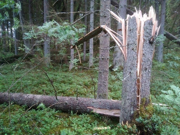 Asociatyvi nuotr.