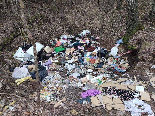 Vykdydami neplanuotus reidus miškų urėdai Ežerėlio girininkijoje aptiko šiukšlyną