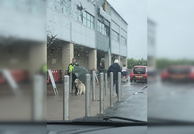 Poelgis tirpdo širdis: apsaugininkas šuniui atidavė skėtį, o pats stovėjo po lietumi