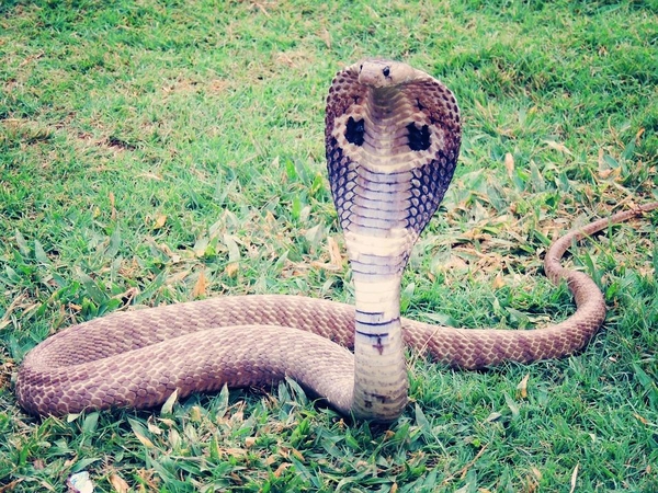 Asociatyvi nuotr.