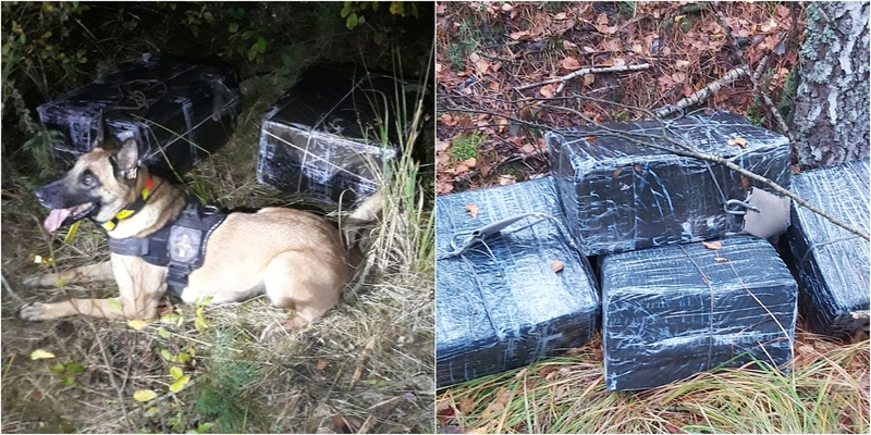 Pasieniečiai sulaikė saviizoliacijos nesilaikiusį kontrabandininką iš Lenkijos