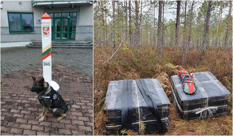 Pasieniečių šuo aptiko Čepkelių raiste paslėptas kontrabandines cigaretes