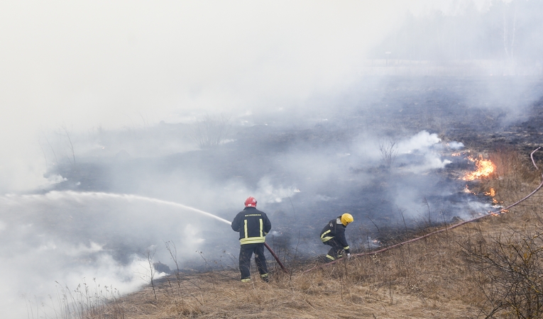 Žolės degintojams gresia baudos, teks atlyginti ir padarytą žalą gamtai