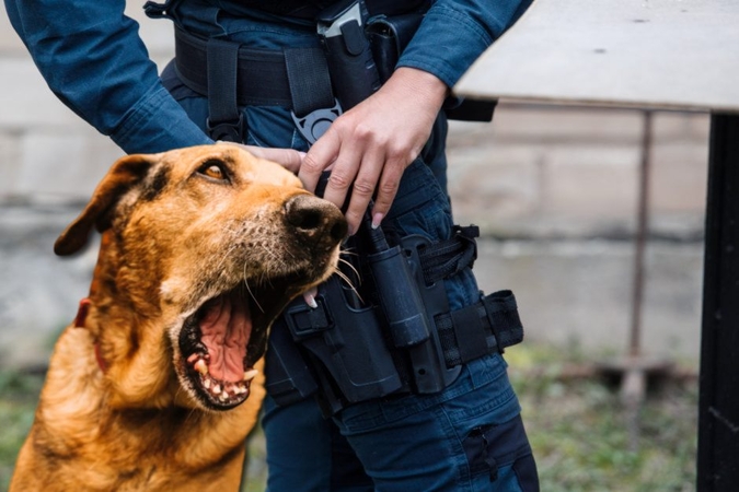 Girto vyro iš voljero išleistas šuo įkando policijos kursantei
