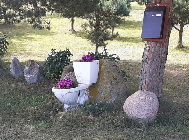 Puošmena: prie kelio padėto unitazo neįmanoma nepastebėti.