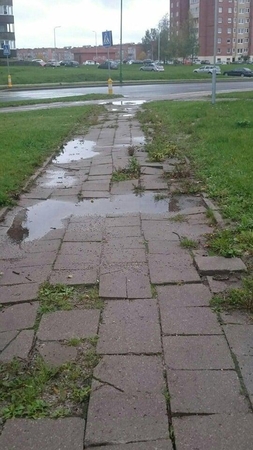 Perspėjimas: einant reikia atidžiai žiūrėti po kojomis, nes labai lengva užkliūti ir apvirsti.