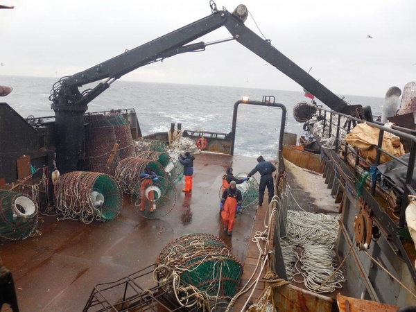 Situacija: teismai konstatavo, kad Kauno prokuroro sankcija krabus gaudžiusiai žvejų bendrovei „Arctic Fishing“ žalos nepadariusi.