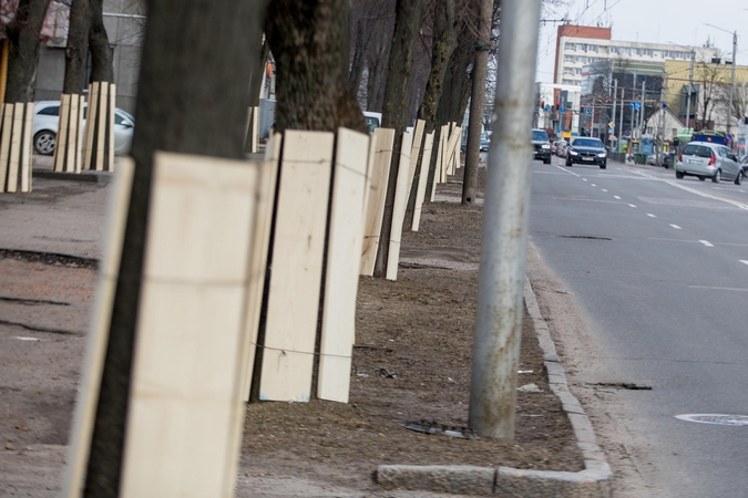 Savanorių prospekte – paruošiamieji rekonstrukcijos darbai