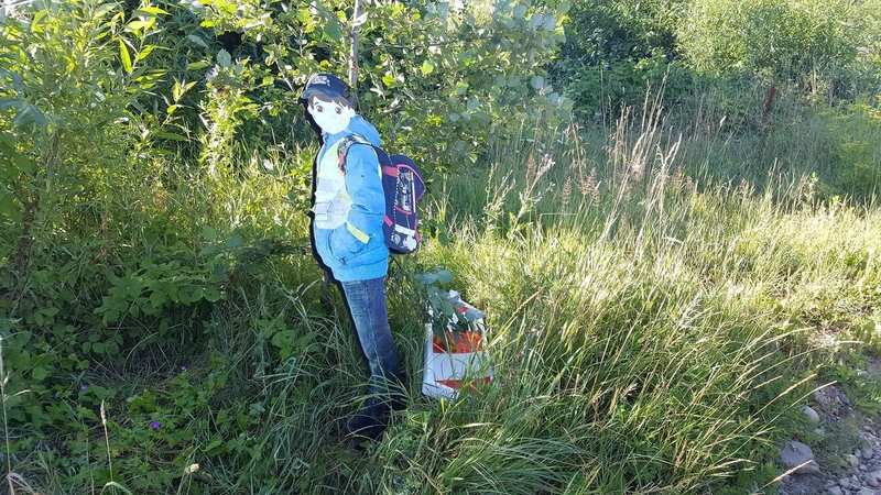 Vandalų akibrokštas: mokinukas „atkeliavo“ prie Danės
