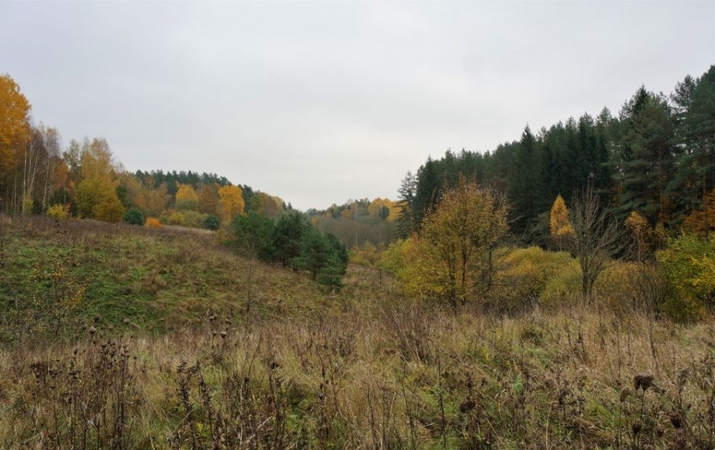 Liekės kraštovaizdžio draustinis