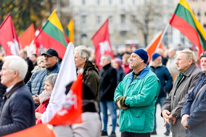 Seimo vadovė: mitingo dalyvių skaičius rodo, kad šeimų maršo darbotvarkė išsikvepia 