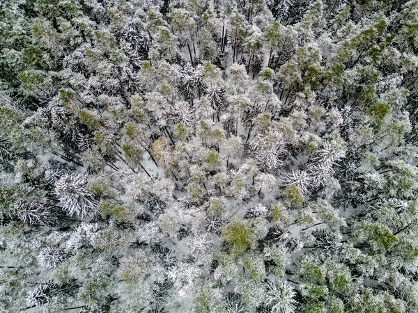 Sutarta stiprinti kai kurių miškų, pelkių, slėnių „Natura 2000“ teritorijose apsaugą