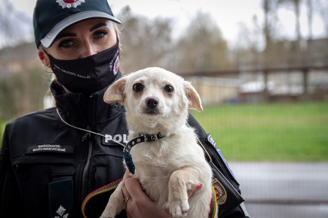 Kauno apskrities policijoje – jau penkti metai graži balandžio 24-osios tradicija
