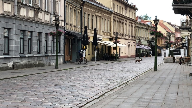 Kaunietį šiurpina palaido kovinio šuns šeimininkas: aš tave „uždaušiu“ kurią dieną