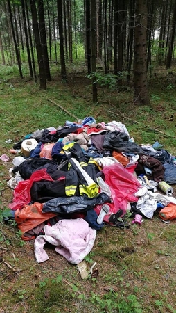 Specialistai susimąstė: gal žmonės norėjo aprengti miško žvėris?