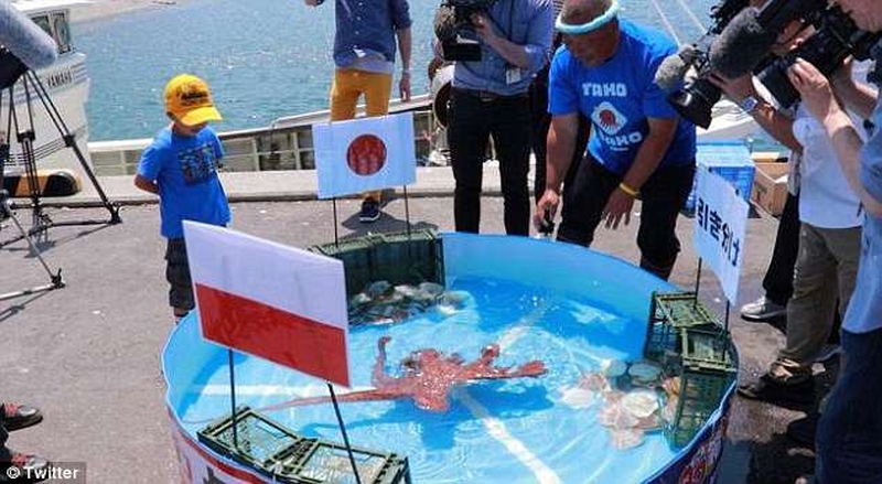 Aštuonkojis, atspėjęs Japonijos futbolo komandos rezultatus, virto sašimi