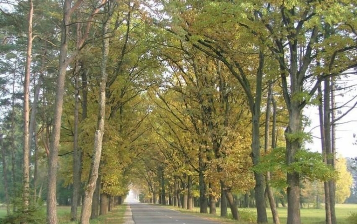 Žagarės dvaro parkas