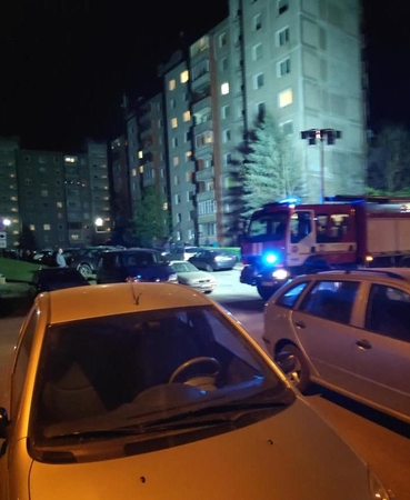 Šilainiuose per gaisrą bute žuvo palikti gyvūnai