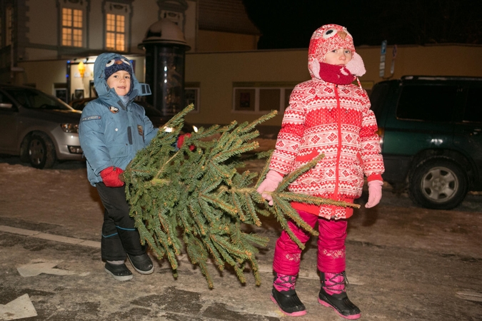 Kaip išsirinkti tinkamiausią Kalėdų eglutę?