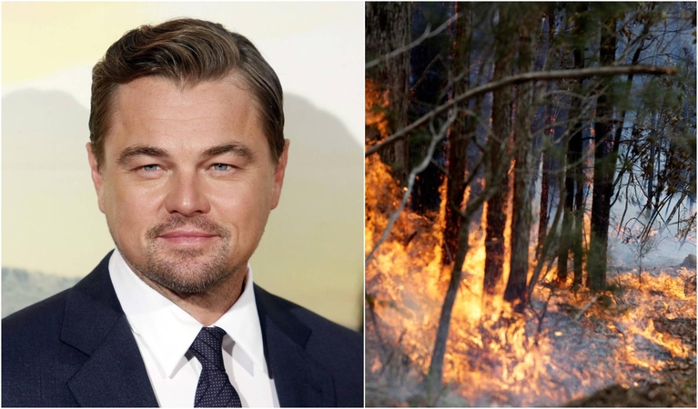  Leonardo DiCaprio